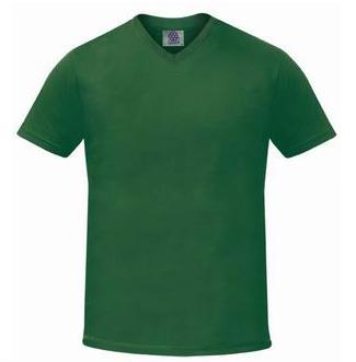 SW370 Starworld Slim Fit V Neck T