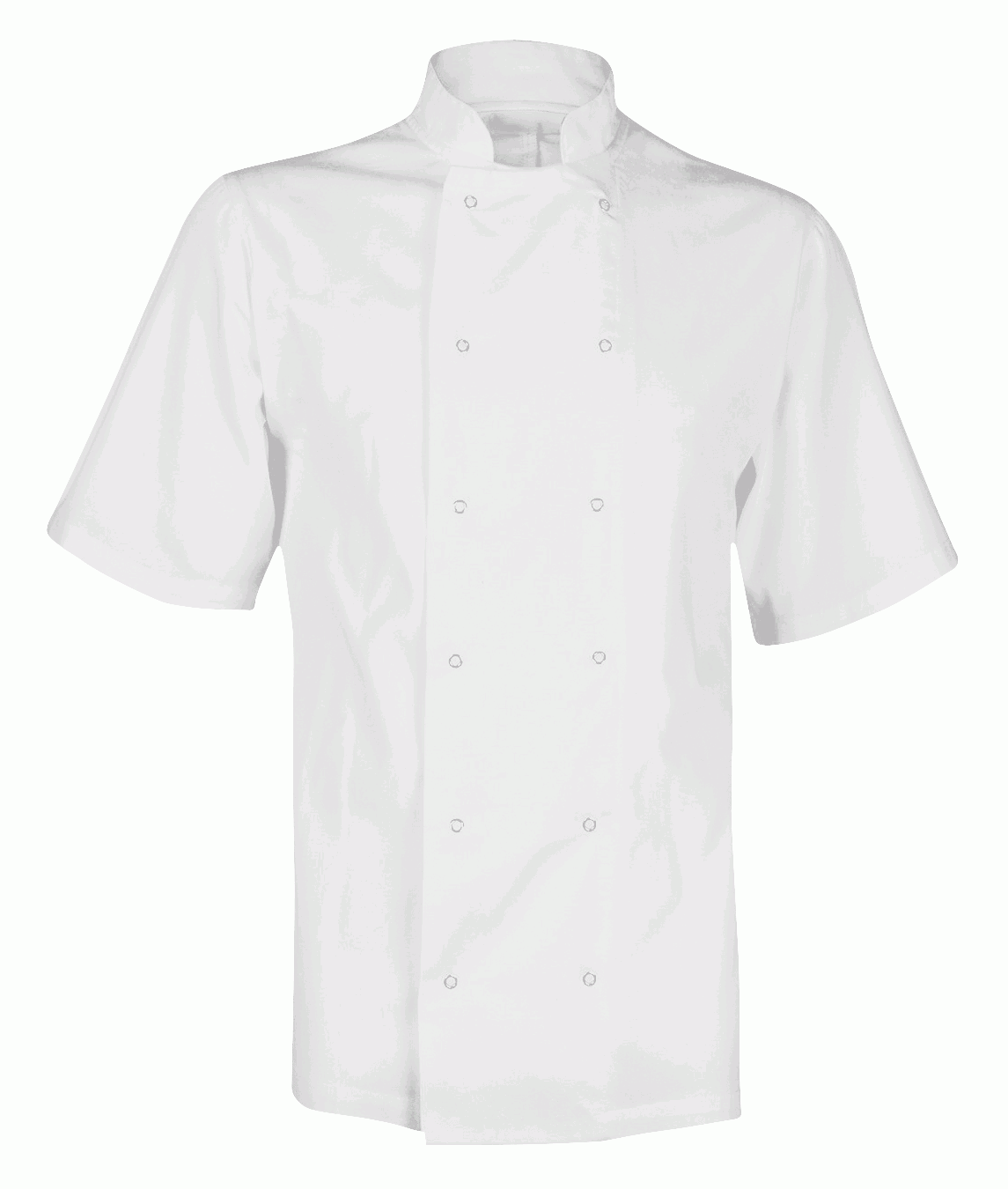 Fusion Short Sleeve Chef Jacket