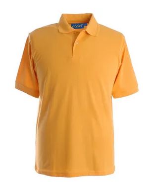 Papini 65/35 Polo Shirt